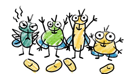 Drawing of a family of flies and maggots